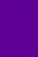 Colleen Poster Color: Purple 20ml