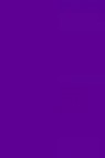 Colleen Poster Color: Purple 20ml