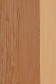 Pebeo XL Studio Oil: Raw Sienna 21 200ml