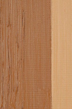 Pebeo XL Studio Oil: Raw Sienna 21 200ml