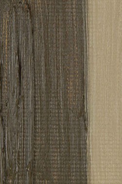 Pebeo XL Studio Oil: Raw Umber 29 37ml