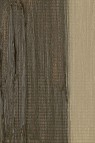 Pebeo XL Studio Oil: Raw Umber 29 37ml