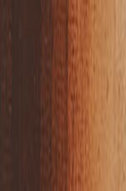 Weber Prima Artist Quality Acrylic: Burnt Umber 236ml