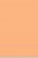 L&B Louvre Oil: Flesh Tint 20ml
