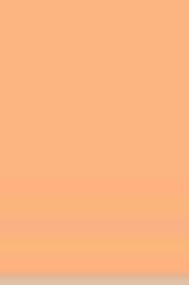 L&B Louvre Oil: Flesh Tint 20ml
