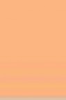L&B Louvre Oil: Flesh Tint 20ml