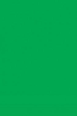 L&B Louvre Oil: Medium Green 20ml