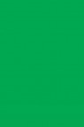 L&B Louvre Oil: Medium Green 20ml