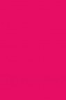 L&B Louvre Oil: Permanent Rose 60ml