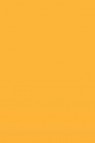 L&B Louvre Oil: Sahara Yellow 60ml