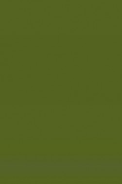 L&B Louvre Oil: Terre Verte 20ml