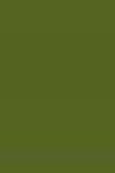 L&B Louvre Oil: Terre Verte 20ml