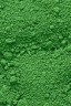 Gamblin Dry Pigment: Chromium Oxide Green 84g