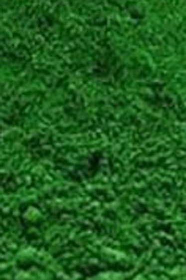 Kulay Pigment Powder: Green 12.5g (50ml jar) Oil Soluble