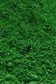 Kulay Pigment Powder: Green 25g (100ml jar) Oil Soluble