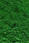 Kulay Pigment Powder: Green 25g (100ml jar) Oil Soluble