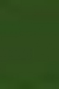 Derivan Artist Watercolor Paint: Australian Leaf Green