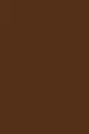 Derivan Artist Watercolor Paint: Burnt Umber