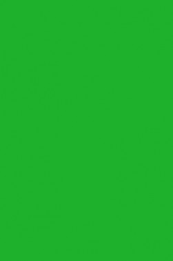 Sakura Poster Color: Flourescent Green 15ml