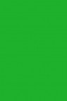 Sakura Poster Color: Flourescent Green 30ml