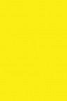 Sakura Poster Color: Flourescent Lemon 30ml