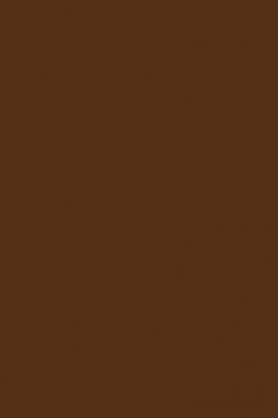 Derivan Artist Watercolor Paint: Raw Umber