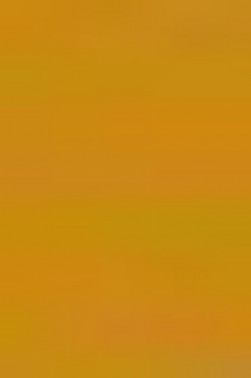 Derivan Artist Watercolor Paint: Yellow Oxide 10ml