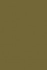 Sakura Poster Color: Gold  15ml