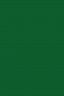 Sakura Poster Color: Green 30ml