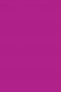 Sakura Poster Color: Magenta 30ml