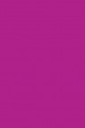 Sakura Poster Color: Magenta 30ml