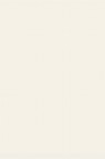 Sakura Poster Color: White 130ml
