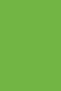 Sakura Poster Color: Yellow Green  15ml