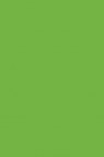 Sakura Poster Color: Yellow Green  15ml
