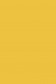 Sakura Poster Color: Yellow Ochre  30ml