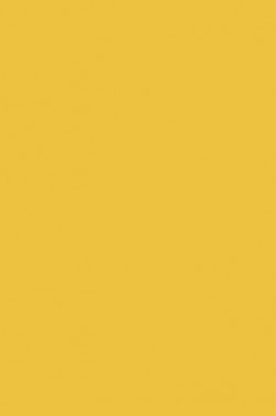 Sakura Poster Color: Yellow Ochre  30ml