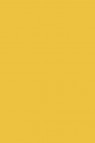 Sakura Poster Color: Yellow Ochre  30ml