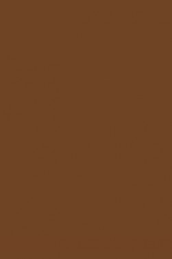 Sakura Poster Color: Burnt Sienna 75ml