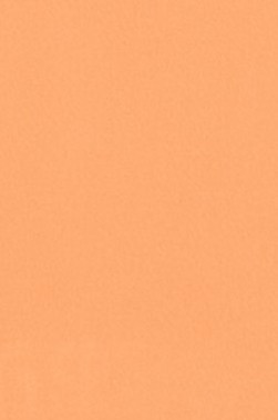 Sakura Poster Color: Pale Orange 75ml