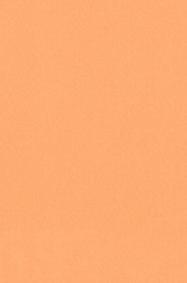 Sakura Poster Color: Pale Orange 75ml