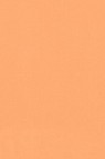 Sakura Poster Color: Pale Orange 75ml
