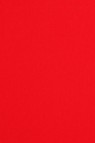 Sakura Poster Color: Red 75ml