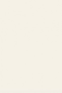Sakura Poster Color: White 75ml