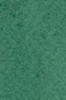 Maimeri Venezia Extra fine Watercolor: 321 Phthalo Green 15ml