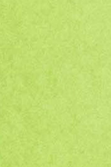 Maimeri Venezia Extra fine Watercolor: 339 Permanent Green Light 15ml