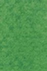 Maimeri Venezia Extra fine Watercolor: 340 Permanent Green Deep 15ml