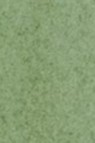 Maimeri Venezia Extra fine Watercolor: 358 Sap Green15ml