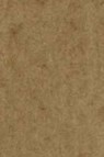 Maimeri Venezia Extra fine Watercolor: 493 Raw Umber 15ml