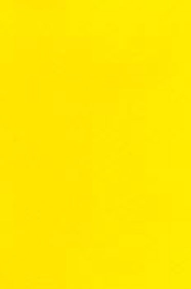 Daniel Smith Extra Fine Watercolor: Cadmium Yellow Light Hue 5ml