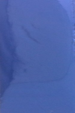 Colored Leaf: Blue 6 sheets